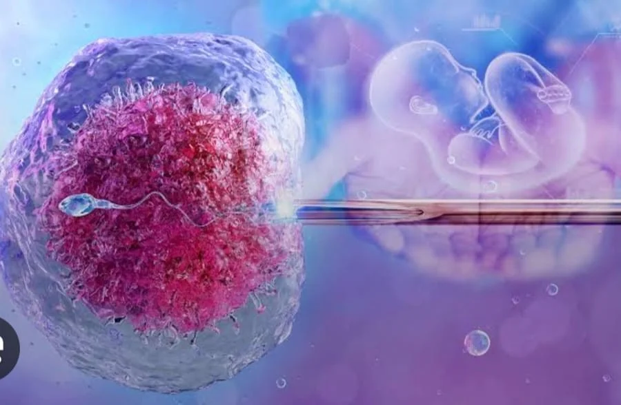 IVF treatment procedure